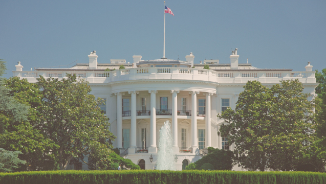 Investing in an Election Year | Johnson Investment Counsel